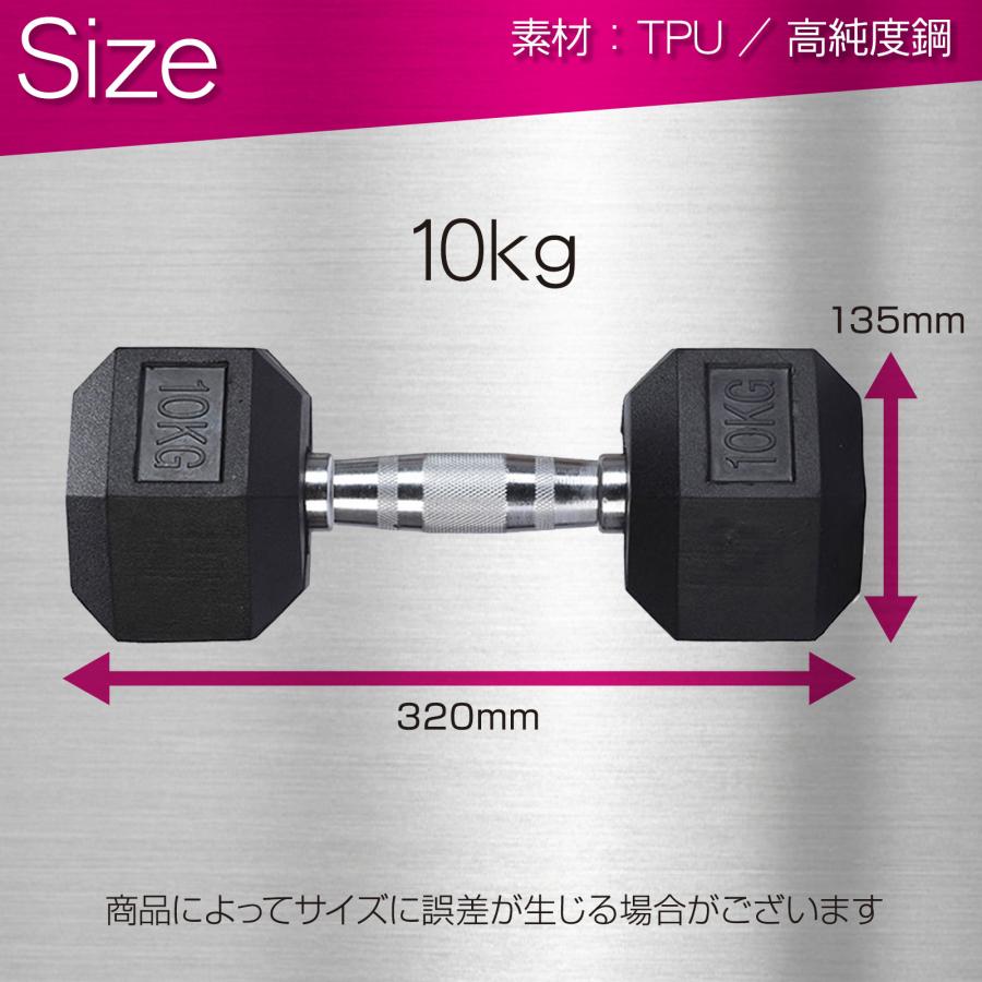 TOP FILM ダンベル 鉄アレイ 10kg 2個セット 20kg ヘックスダンベル