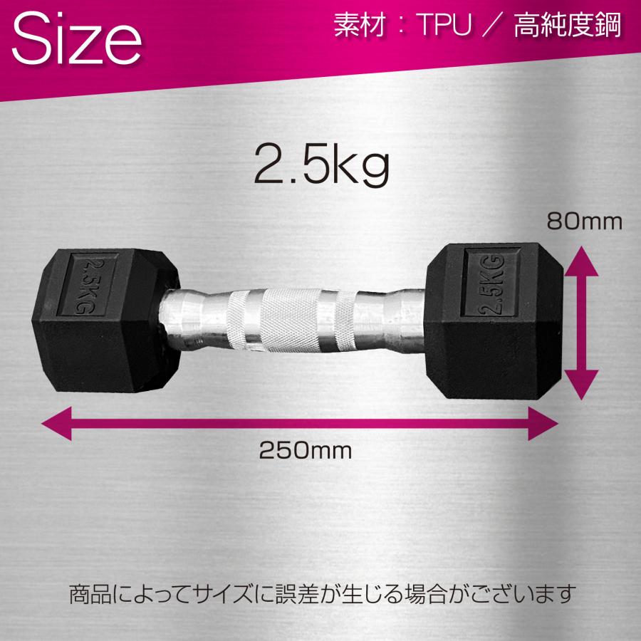 TOP FILM ダンベル 鉄アレイ 2.5kg 2個セット 5kg ヘックスダンベル