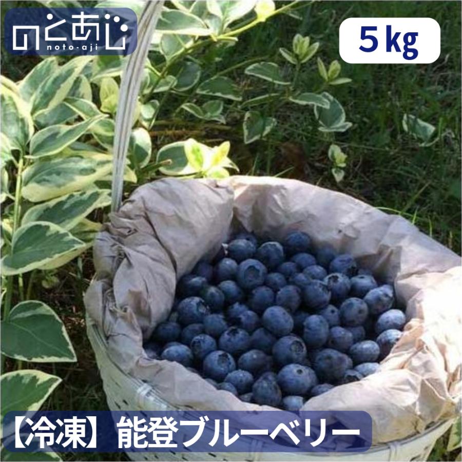冷凍 国産 能登ブルーベリー 5kg 全国送料込み 復興支援 復興