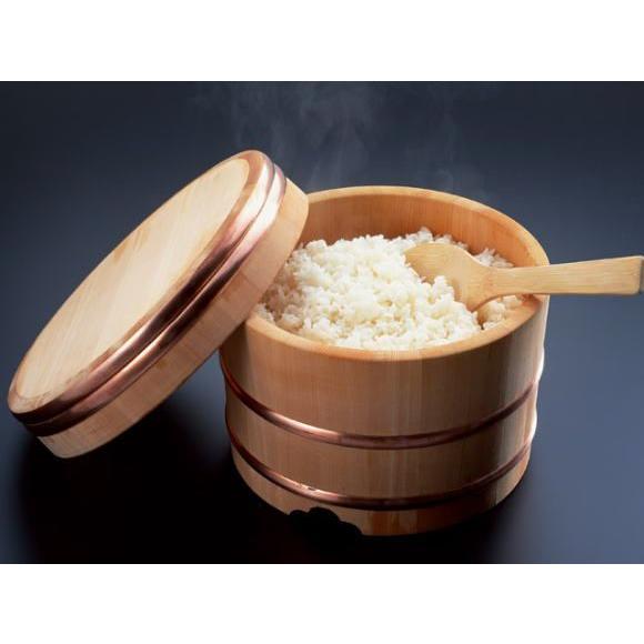 能登産コシヒカリ！玄米&精米(30K) 送料無料！】【精米無料！】新米！能登産100%！こしひかり30kg