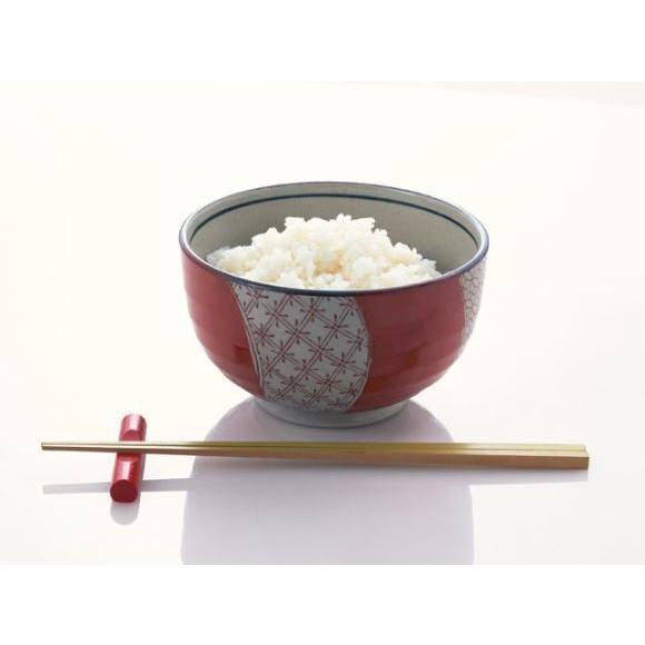 米 こしひかり 10kg 能登の国