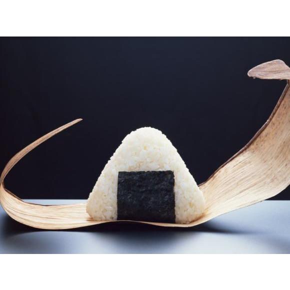 送料無料!】新米!能登米 のとひかり(能登ひかり)5kg×3袋 : の 送料無料!】新米!能登米 のとひかり(能登ひかり)5kg×3袋 : の