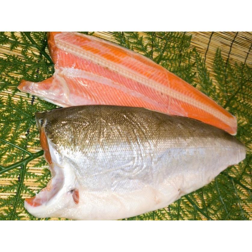 御歳暮 ギフト　鮭界のセレブ 紅鮭さん。紅鮭半身切身（北洋）（2分割/1.1kg位甘塩仕立て）｜notosuisan｜02