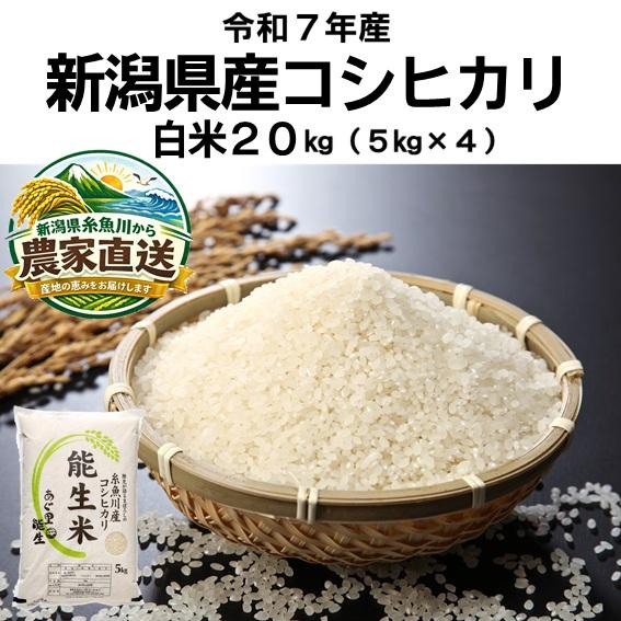 コシヒカリ 米 令和7年産 新潟県産 20kg 5kg×4 20キロ 白米 精米