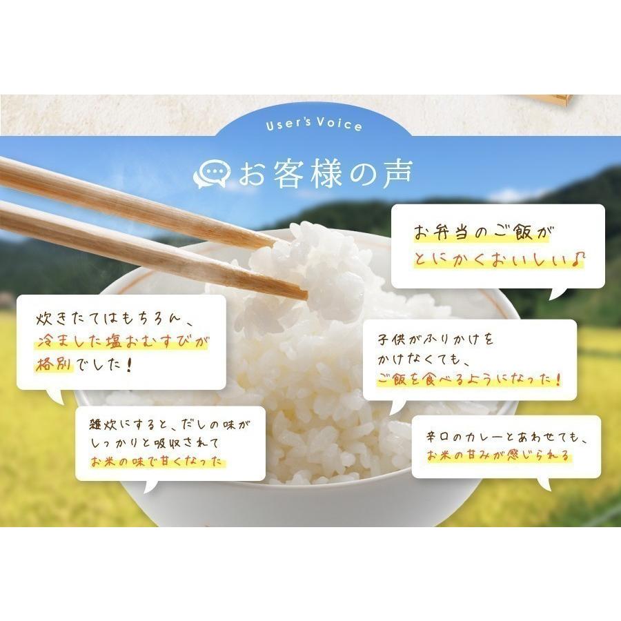 コシヒカリ 米 令和7年産 新潟県産 20kg 5kg×4 20キロ 白米 精米