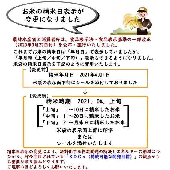 コシヒカリ 米 令和7年産 新潟県産 20kg 5kg×4 20キロ 白米 精米
