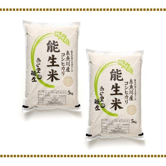 お米 5kg×2 (10キロ) 白米 新潟産 コシヒカリ 農家直送