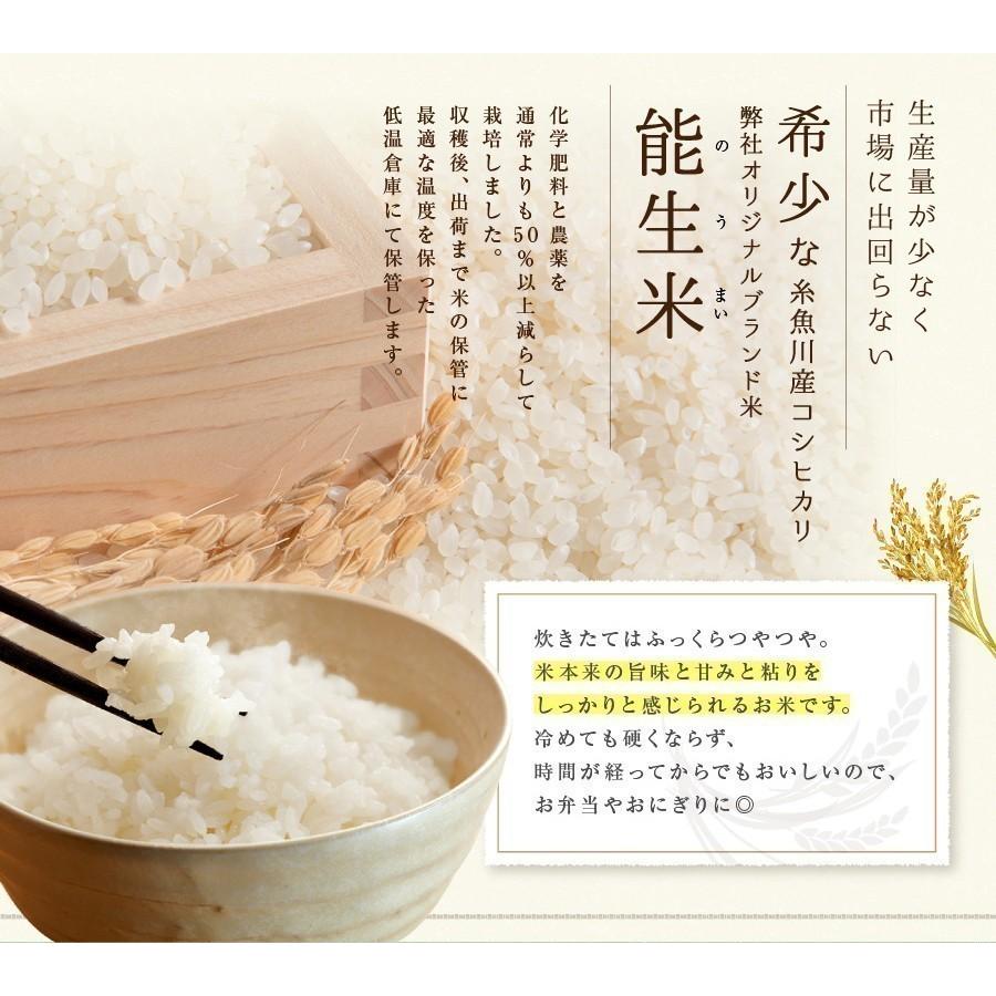 コシヒカリ 米 令和7年産 新潟県産 20kg 5kg×4 20キロ 白米 精米