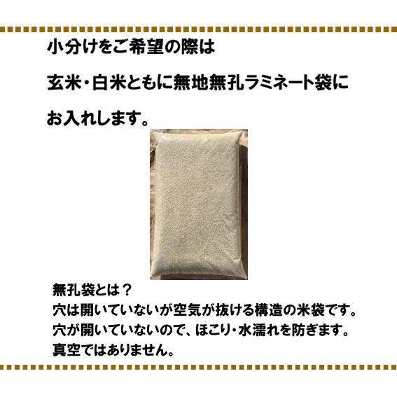 新米 令和5年産 お米 30kg 玄米 新潟 コシヒカリ 農家直送 糸魚川 能生