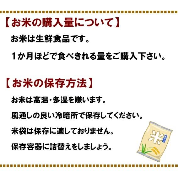 米 30kg 玄米 白米 ３０キロ コシヒカリ 精米無料  小分け対応 令和5年産 新潟 農家直送 糸魚川 能生米 送料無料｜nou-senbei｜12