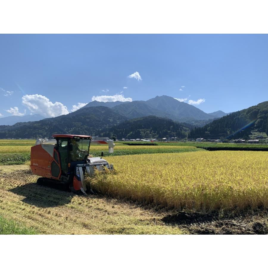 米 お米 30kg 玄米 新潟 コシヒカリ 令和4年 農家直送 糸魚川 能生米