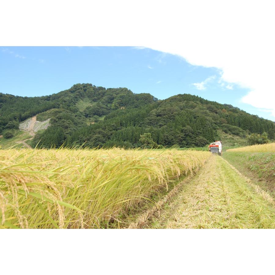 コシヒカリ 米 新潟県産 玄米 30kg 令和7年産 一等米 白米 27kg 30