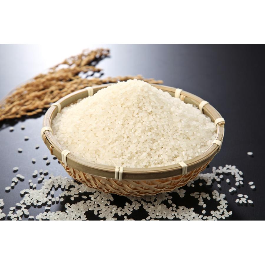 コシヒカリ 【10％offクーポン対象】米 新潟県産 玄米 30kg 令和7年産