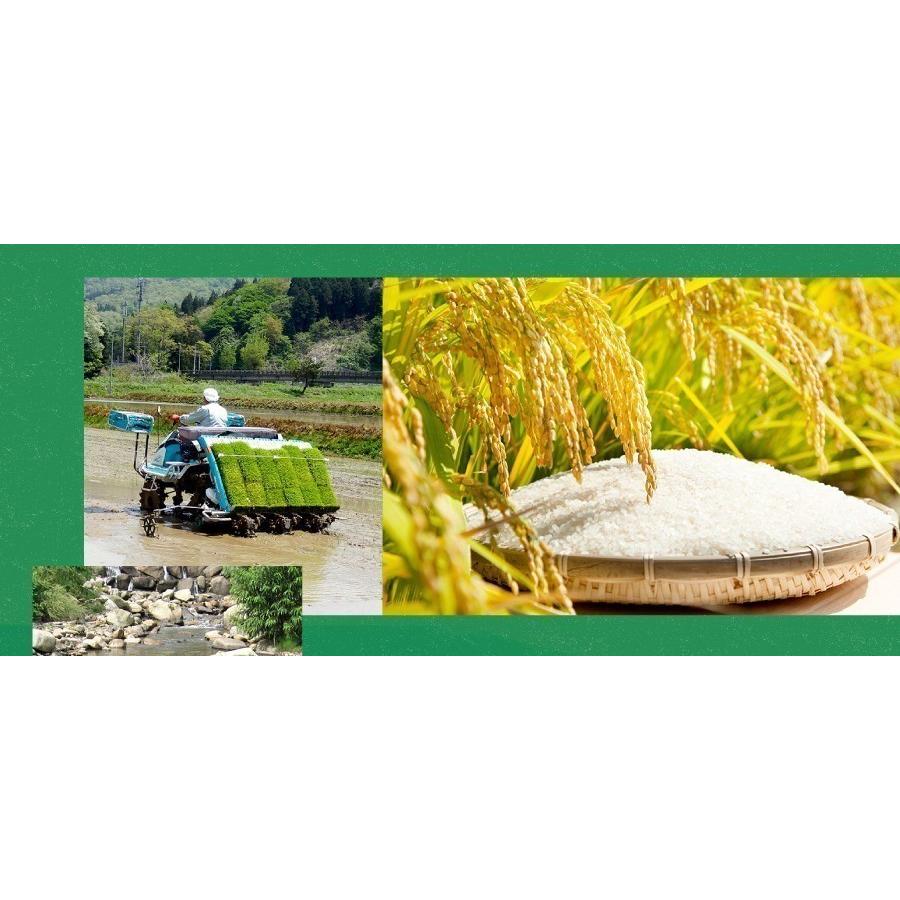 コシヒカリ 【10％offクーポン対象】米 新潟県産 玄米 30kg 令和7年産