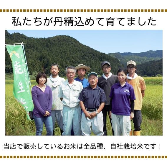 米 令和7年産 新潟県産 こしいぶき 玄米 30kg 一等米 白米27kg 業務用 大袋 精米無料 小分け対応不可 農家直送 送料無料 にいがた 糸魚川 能生 おこめ_9