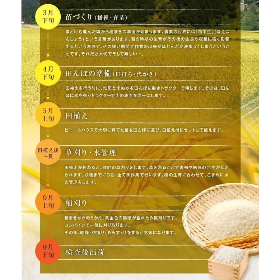米 令和7年産 新潟県産 こしいぶき 玄米 30kg 一等米 白米27kg 業務用 大袋 精米無料 小分け対応不可 農家直送 送料無料 にいがた 糸魚川 能生 おこめ_17