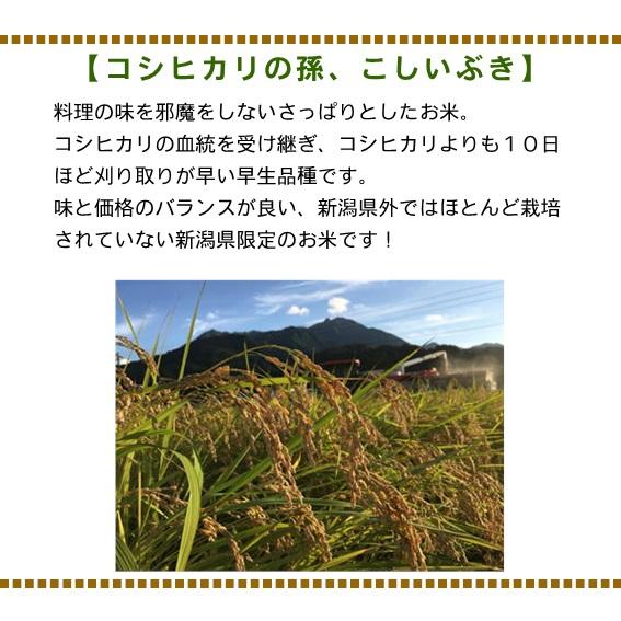 米 令和7年産 新潟県産 こしいぶき 玄米 30kg 一等米 白米27kg 業務用 大袋 精米無料 小分け対応不可 農家直送 送料無料 にいがた 糸魚川 能生 おこめ_1