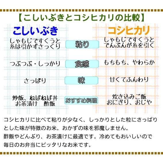 米 令和7年産 新潟県産 こしいぶき 玄米 30kg 一等米 白米27kg 業務用 大袋 精米無料 小分け対応不可 農家直送 送料無料 にいがた 糸魚川 能生 おこめ_2
