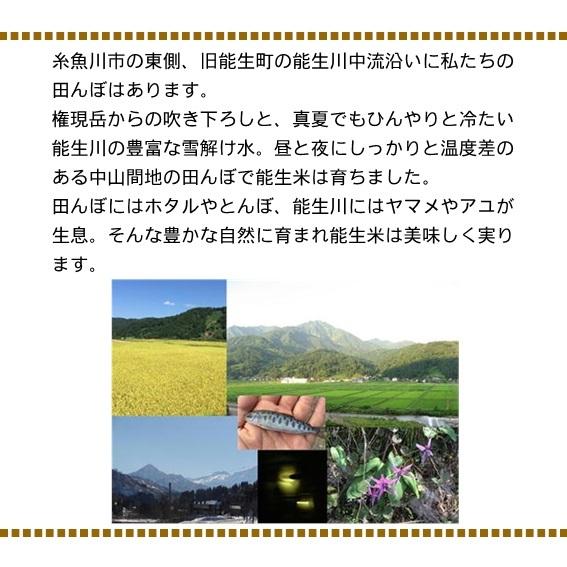 米 令和7年産 新潟県産 こしいぶき 玄米 30kg 一等米 白米27kg 業務用 大袋 精米無料 小分け対応不可 農家直送 送料無料 にいがた 糸魚川 能生 おこめ_3