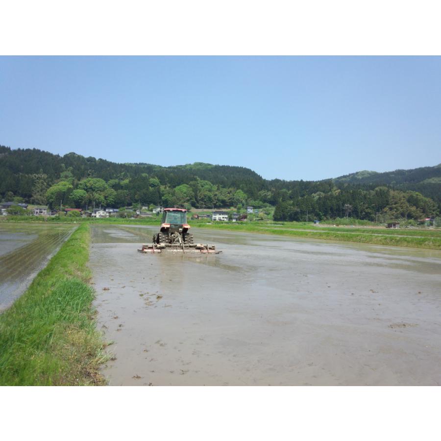 コシヒカリ 米 白米 27kg 令和7年産 新潟県産 一等米 玄米30kgを精米