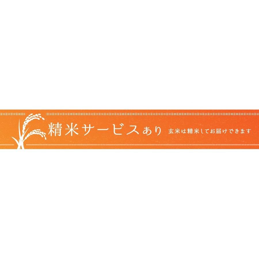 コシヒカリ 米 白米 27kg 令和7年産 新潟県産 一等米 玄米30kgを精米