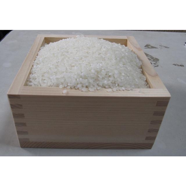 鳥取県令和6年産 ひとめぼれ 玄米30kg 条件付き送料無料 精米無料  