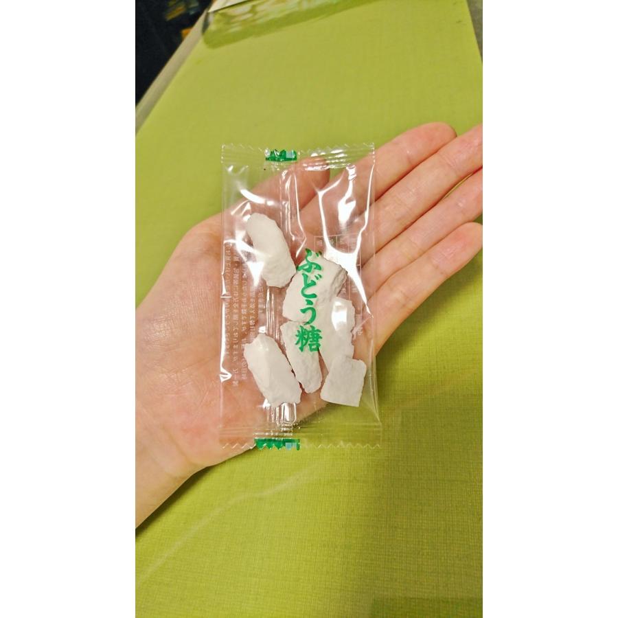 【公式】脳はぶどう糖チップ　5ｇ×15袋入　　【川崎市名産品認定商品】 |  | 02