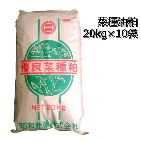 80年代 国産 YAMAHA RBX ミディアムスケール EMG プリアンプ