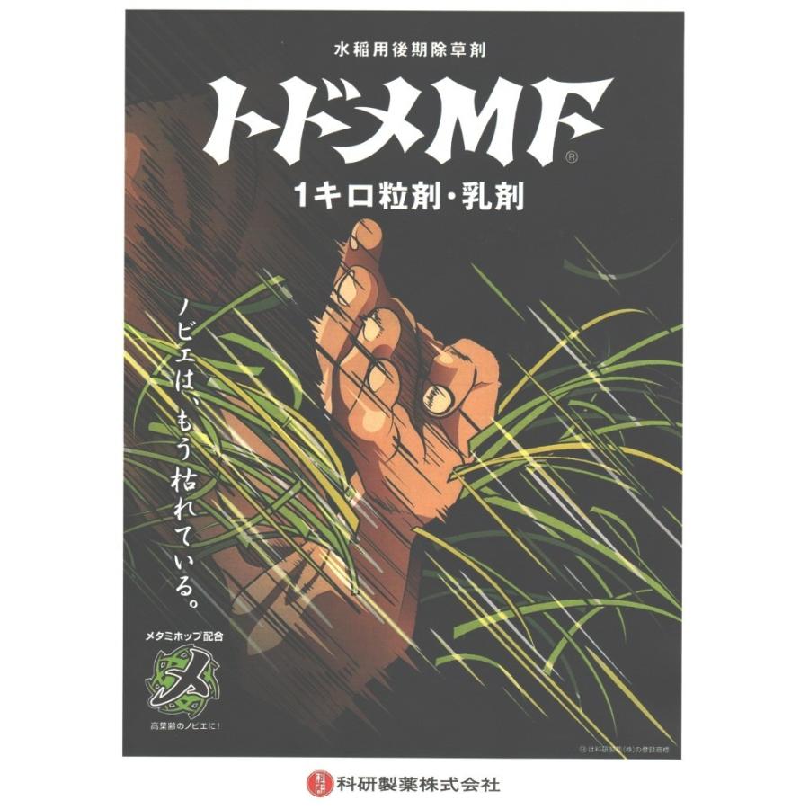 除草剤 トドメ 乳剤 200ml×10本 （1ケース）  水稲用 中後期除草剤_1