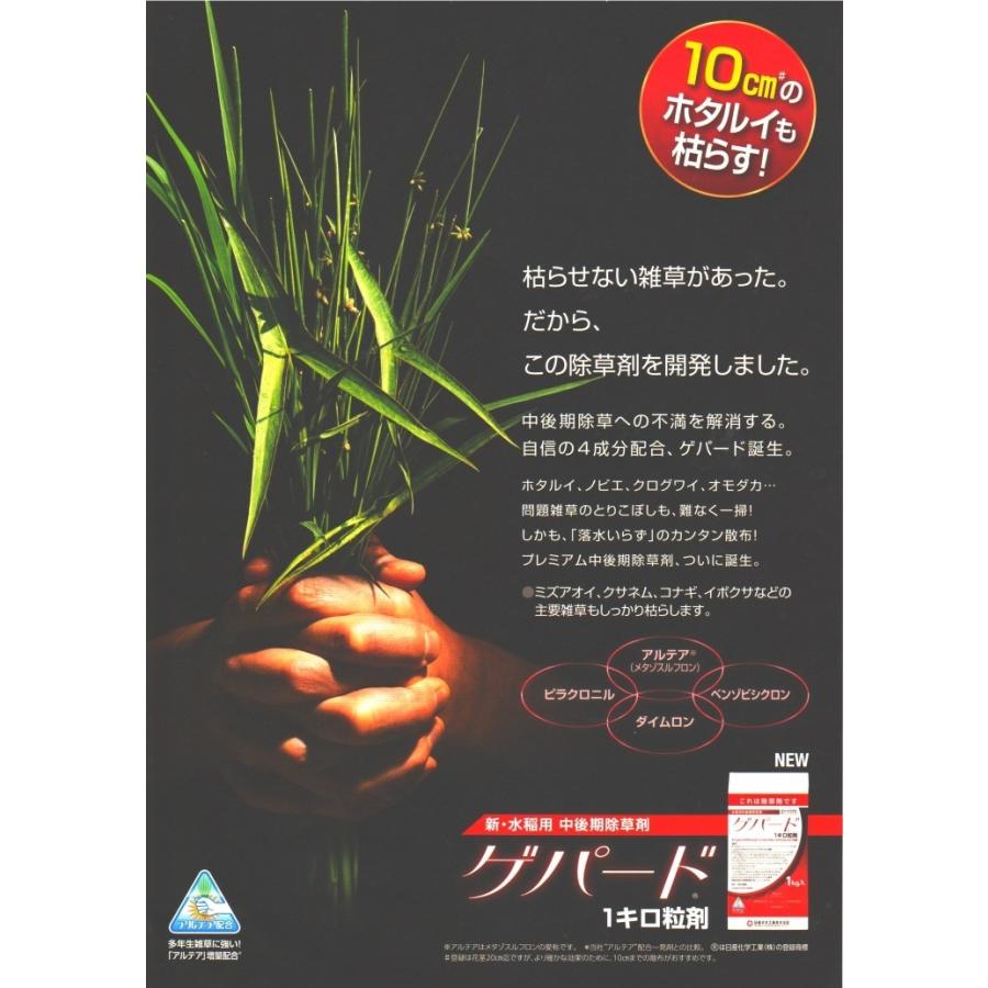 除草剤 ゲパード ジャンボ 400g 袋 1ケース 水稲用 中後期除草剤 ホタルイ ノビエ クログワイ オモダカ 2 1 10 27 農家の店ヤマシチ 通販 Yahoo ショッピング