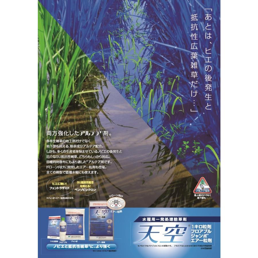 値下げ！天空ジャンボ　水稲除草剤 除草剤 天空 ジャンボ 300g×20袋（1ケース） 水稲用 初中期一発除草剤