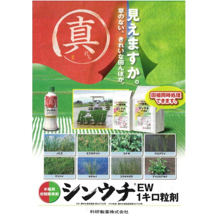市場 エリジャン 乳剤300ml×20本水稲用初期除草剤：ヤマシチ