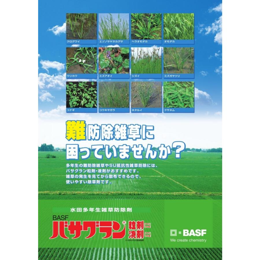 クログワイ 除草 剤