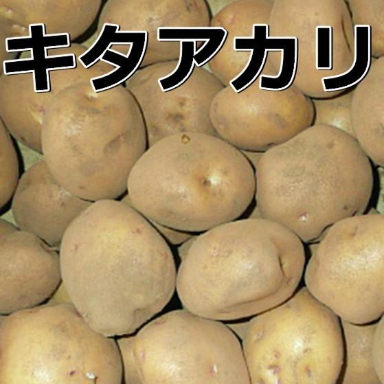 種芋 ジャガイモ キタアカリ 5kg 9 4 2 3 農家の店ヤマシチ 通販 Yahoo ショッピング