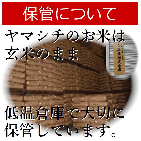 米 24kg 玄米 送料無料 あさひの夢 令和5年産 栃木県 白米 一等米｜nouka-yama｜07