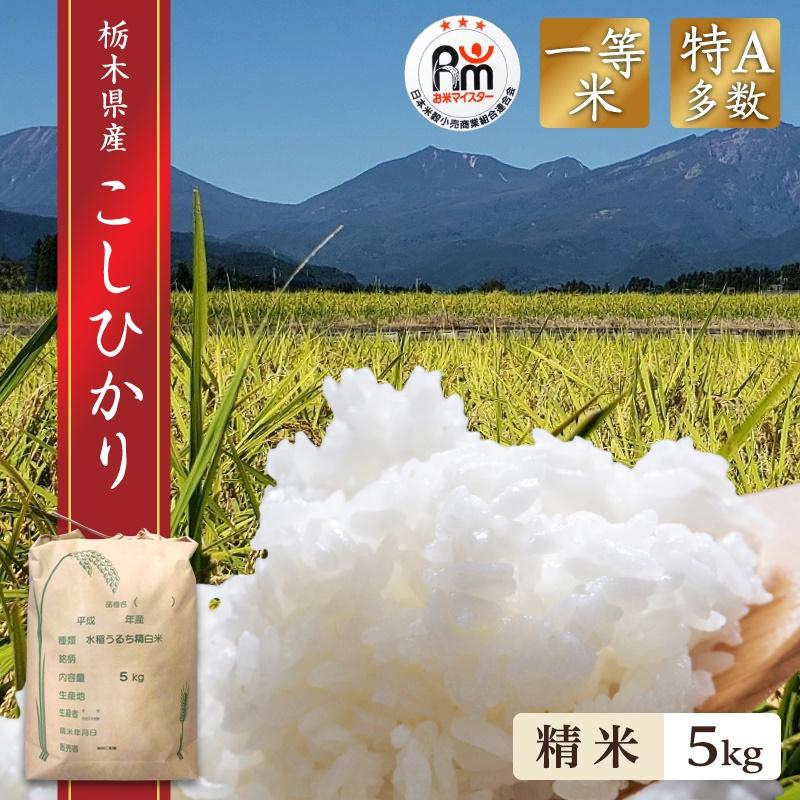 コシヒカリ 米 5kg 送料無料 令和7年産 栃木県 日光産 白米 一等米