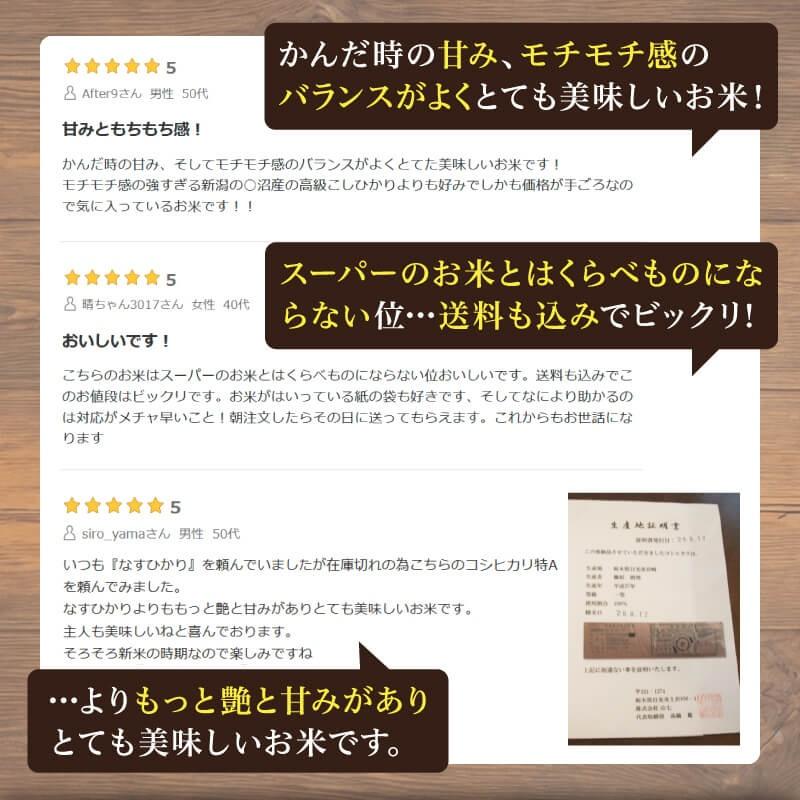 コシヒカリ 米 5kg 送料無料 令和7年産 栃木県 日光産 白米 一等米
