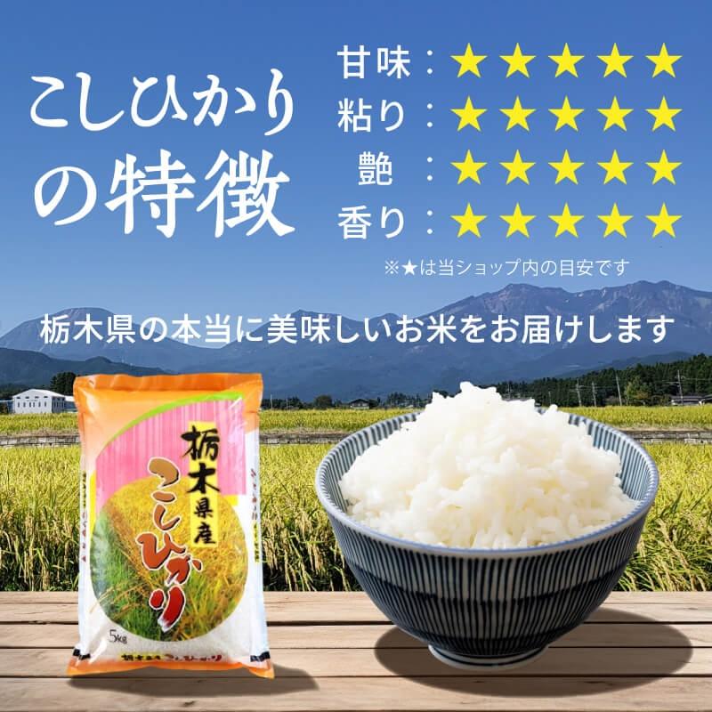 コシヒカリ 米 10kg (5kg×2袋) 送料無料 令和7年産 栃木県 日光産 白米
