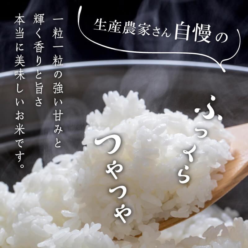 コシヒカリ 米 10kg (5kg×2袋) 送料無料 令和7年産 栃木県 日光産 白米