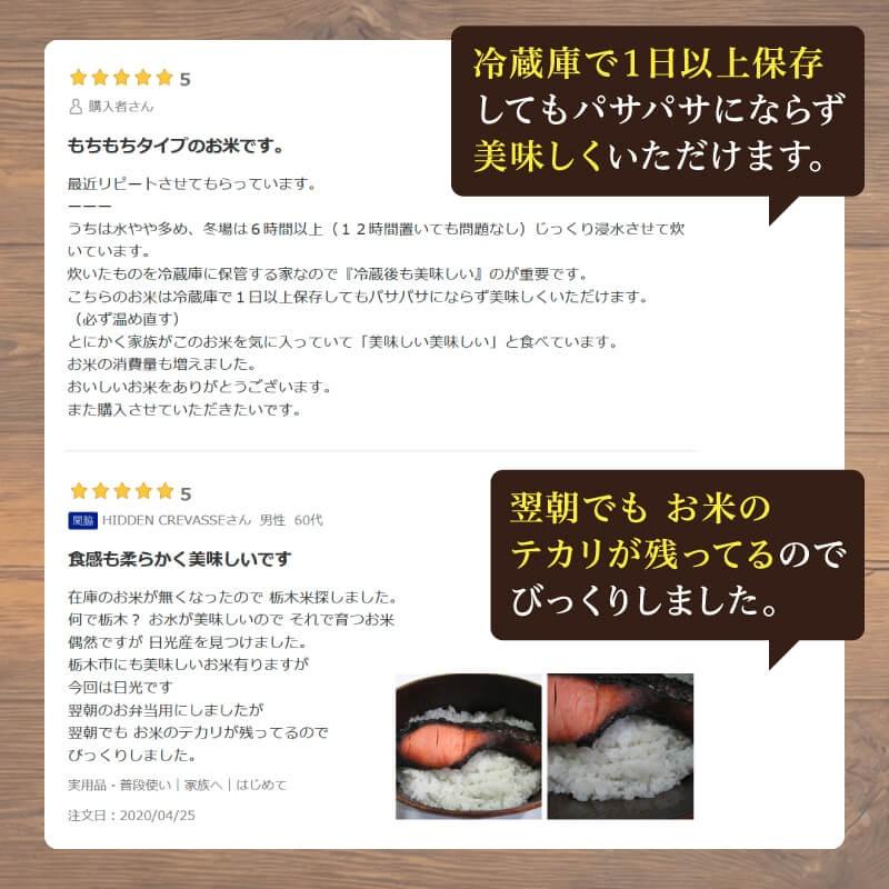 コシヒカリ 米 20kg (10kg×2袋) 送料無料 令和7年産 栃木県 日光産