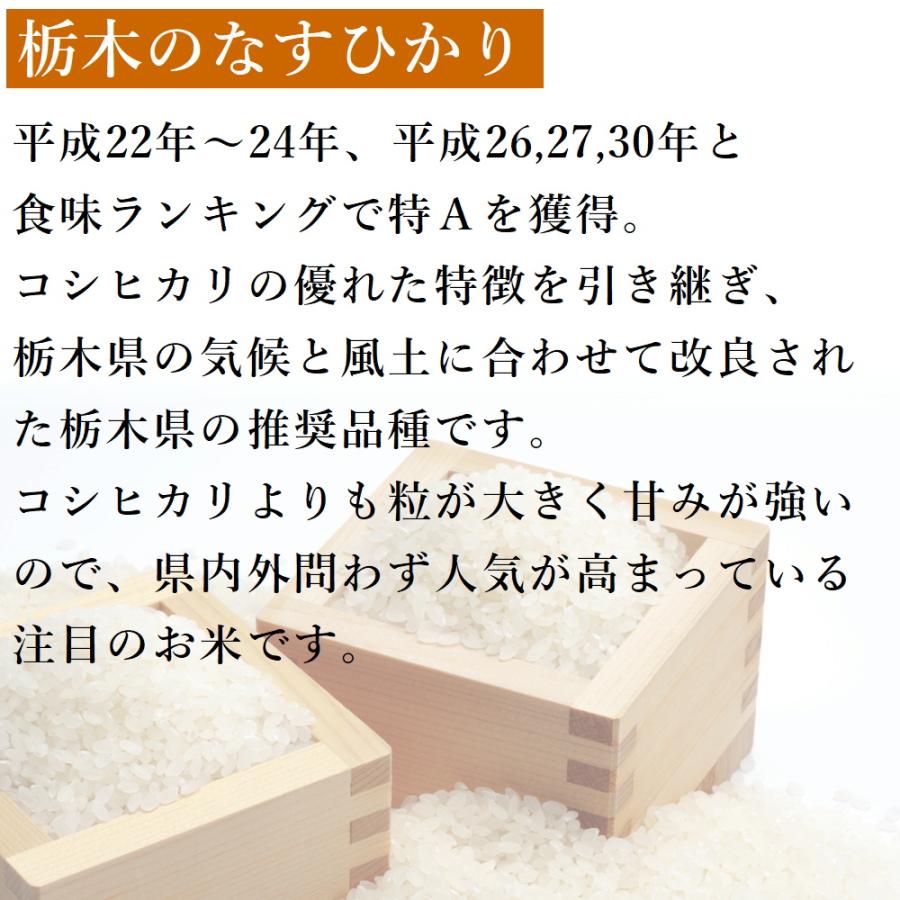 なすひかり 米 20kg (10kg×2袋) 送料無料 令和7年産 栃木県 白米 一等