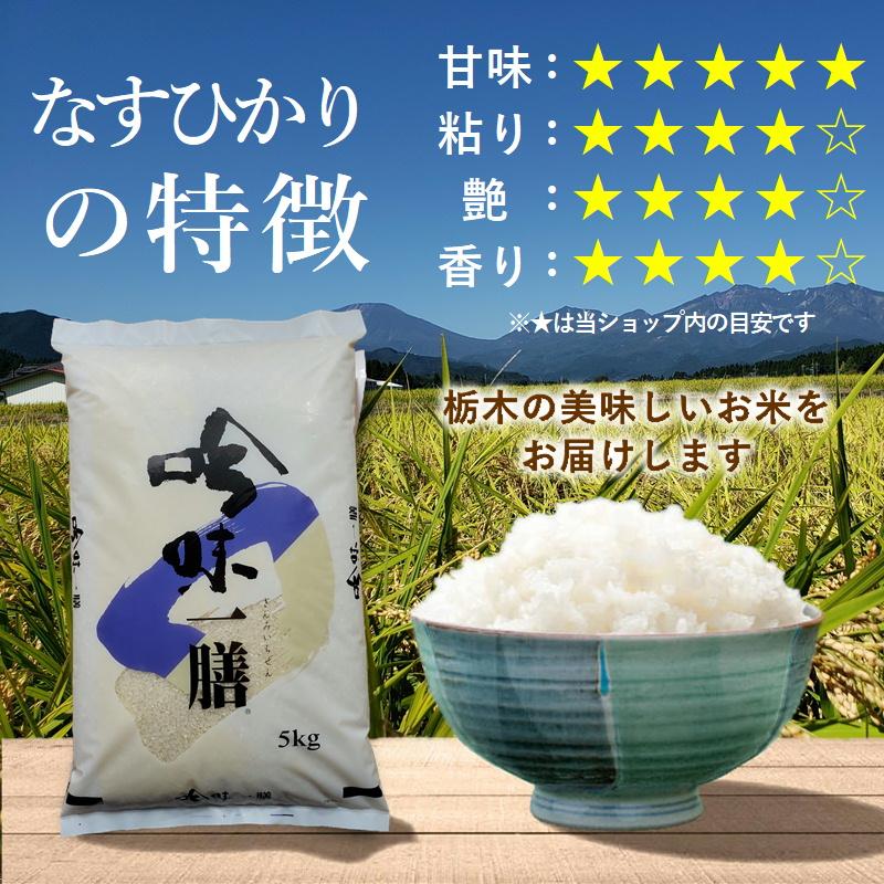 なすひかり 米 20kg (10kg×2袋) 送料無料 令和7年産 栃木県 白米 一等