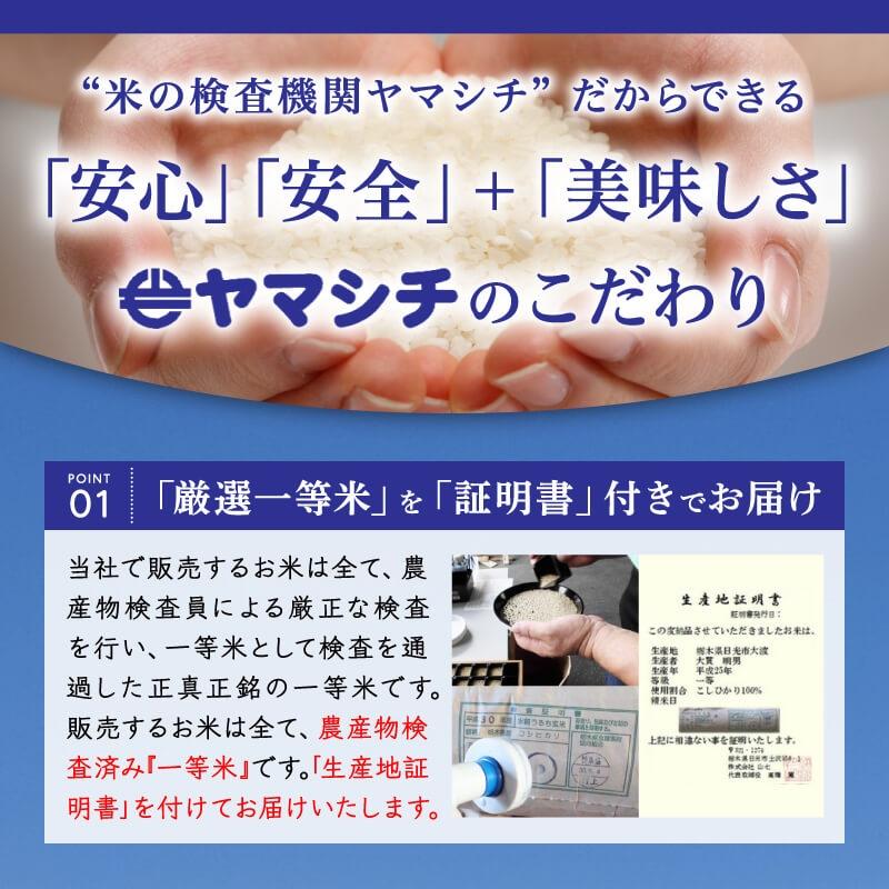 なすひかり 米 20kg (10kg×2袋) 送料無料 令和7年産 栃木県 白米 一等