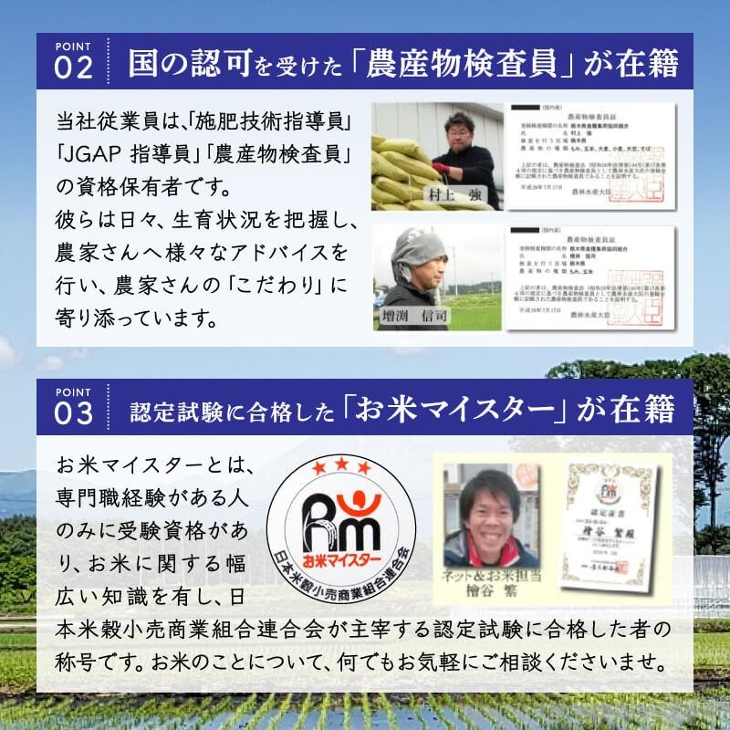 なすひかり 米 20kg (10kg×2袋) 送料無料 令和7年産 栃木県 白米 一等