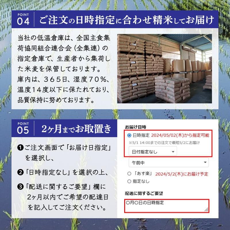 なすひかり 米 20kg (10kg×2袋) 送料無料 令和7年産 栃木県 白米 一等