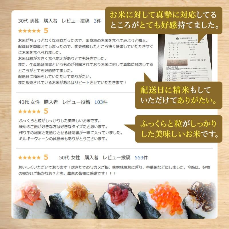 米　コシヒカリ　１０キロ（5キロ×２袋）　栃木産　美味しい　８月精米　新品　白米 米 コシヒカリ 10キロ（5キロ×2袋） 栃木産 美味しい 8月