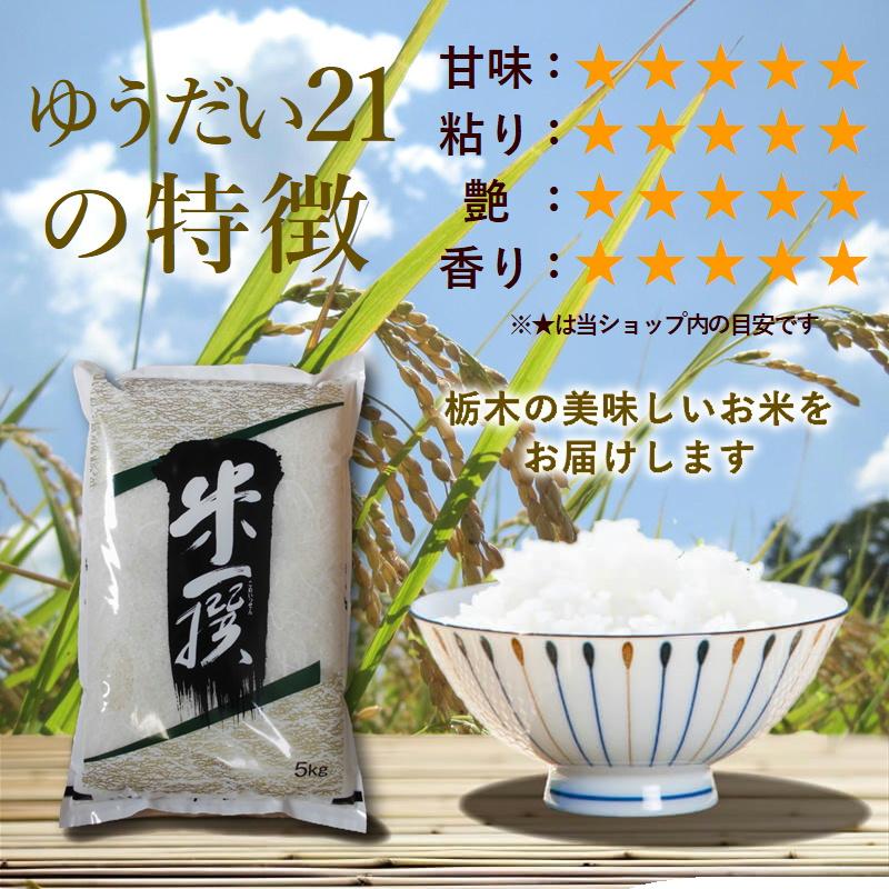 コシヒカリ 米 5kg 送料無料 ゆうだい21 令和7年産 栃木県 日光産 白米