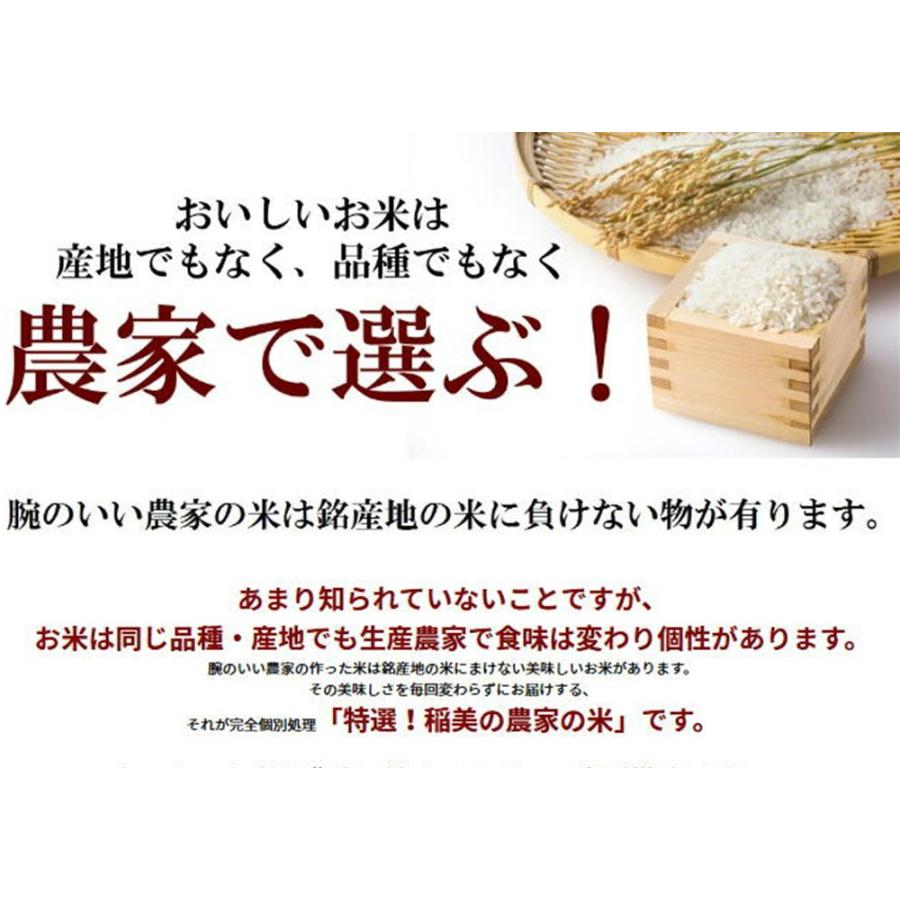 米 玄米 10kg キヌヒカリ 玄米 白米 選択可 厳選農家 令和5年兵庫県産 産地直送｜noukamai｜02