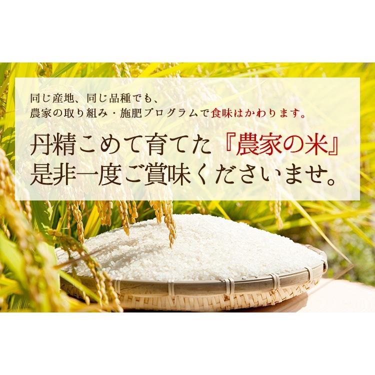 米 玄米 10kg キヌヒカリ 玄米 白米 選択可 厳選農家 令和5年兵庫県産 産地直送｜noukamai｜13