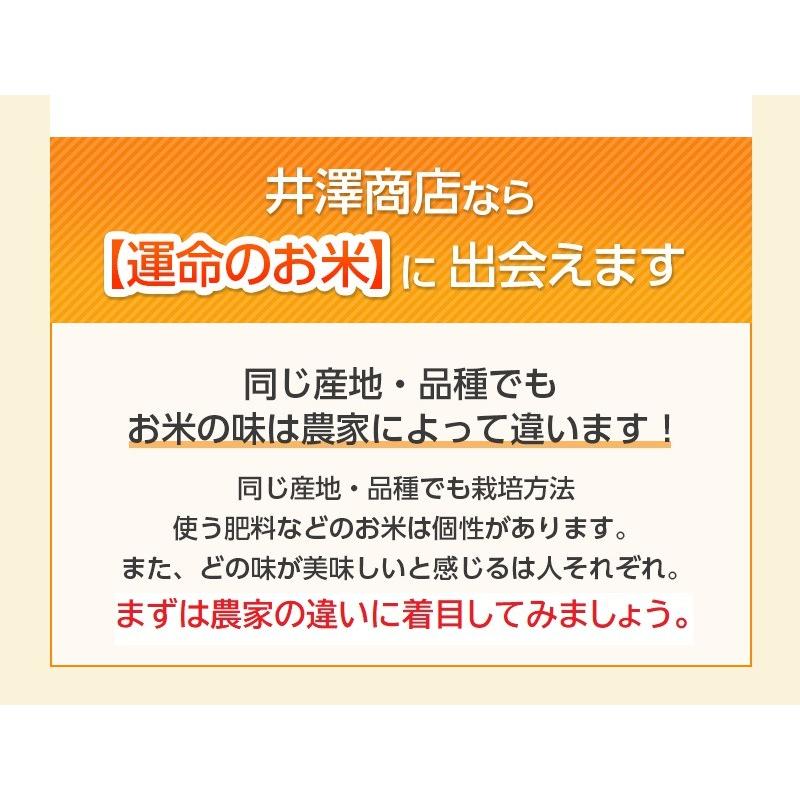 キヌヒカリ 米 玄米 20kg 玄米 白米選択可 厳選農家 令和7年兵庫県産